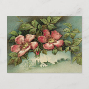 Vintage Wilde Rozen Briefkaart