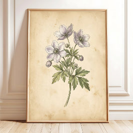 Vintage Windflower Bloemstuk Gelijst Wandkunst Poster