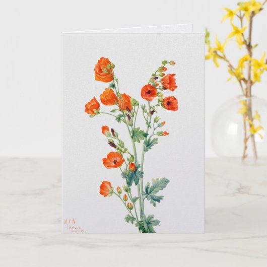Vintage Woestijnbolletjesroos Botanische Illustrat Kaart (Gele Bloem)