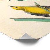 Vintage Yellow Birds On Flower Illustration Poster (Hoek)