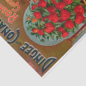 Vintage zaadcataloguskwekers, 1897 tissuepapier (Detail)