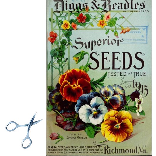 Vintage zaadcellen en broodjes 1915 tissuepapier