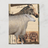 Vintage Zebra and Sheep Mixed Media Collage Briefkaart (Voorkant)