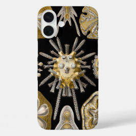Vintage zee-egels zanddollars door Ernst Haeckel iPhone 16 Plus Hoesje