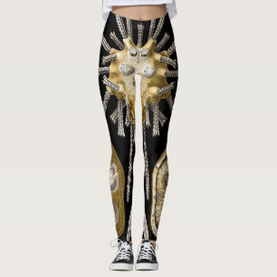 Vintage zee-egels zanddollars door Ernst Haeckel Leggings