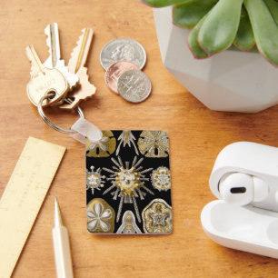 Vintage zee-egels zanddollars door Ernst Haeckel Sleutelhanger