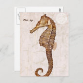 Vintage Zee Paardenscheppend zeepaardje Briefkaart (Voorkant / Achterkant)