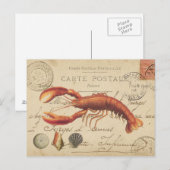 Vintage Zeekreeft en zeeschelpenbriefkaart Briefkaart (Voorkant / Achterkant)