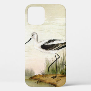 Vintage Zeeleven Strandvogels, Kluten Case-Mate iPhone Case