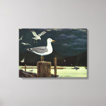 Vintage zeemeeuw op steiger, zee vogels dieren
