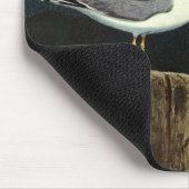 Vintage zeemeeuw op steiger, zee vogels dieren muismat (Hoek)