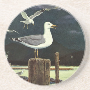 Vintage zeemeeuw op steiger, zee vogels dieren zandsteen onderzetter