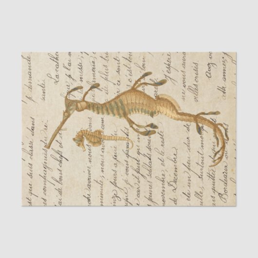 Vintage Zeepaard Tissuepapier (Voorkant)