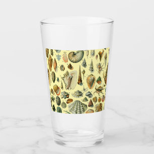 Vintage Zeeschelp Afdruk Adolphe Millot Kust Glas