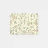Vintage Zeeschelp Afdruk Adolphe Millot Kust Post-it® Notes (Voorkant)