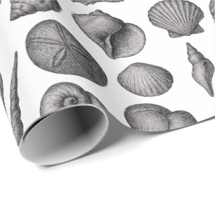 Vintage Zeeschelp Oceaan Natuur Schets Patroon Cadeaupapier