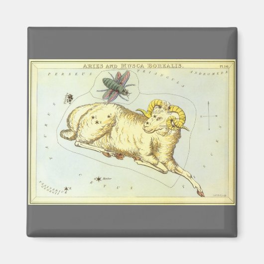 Vintage Zodiac, Astrologie Ram Stierbeeld Magneet (Voorkant)