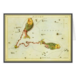 Vintage Zodiac Astrologie Vissen Sterrenbeeld