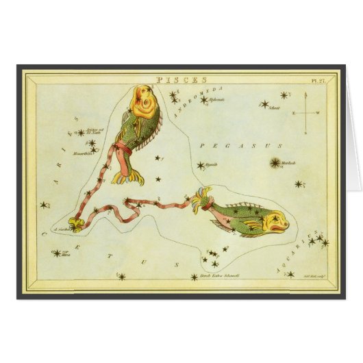 Vintage Zodiac Astrologie Vissen Sterrenbeeld (Voorkant Horizontaal)