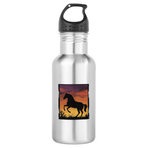 Vintage Zonsondergang Paard Silhouet Western Gravu Waterfles