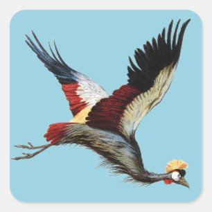 Vintage Zuid-Afrikaanse Gekroonde Kraanvogel Vlieg Vierkante Sticker