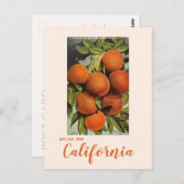 Vintage Zuid-Californië Sinaasappel Briefkaart (Voorkant / Achterkant)