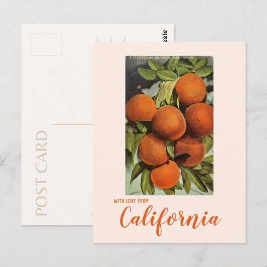 Vintage Zuid-Californië Sinaasappel Briefkaart (Voorkant / Achterkant)