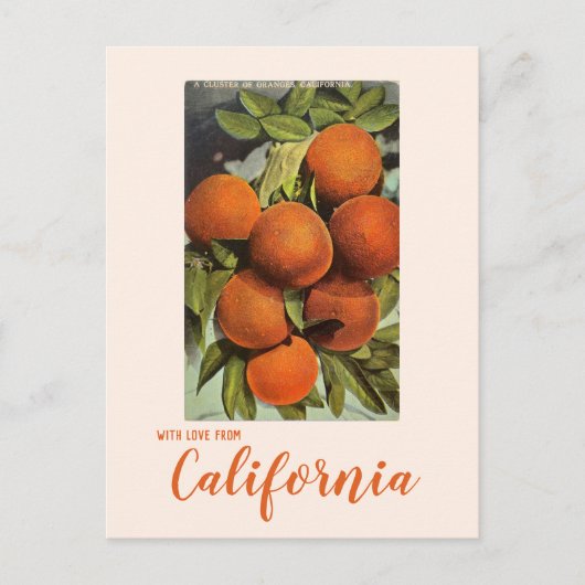 Vintage Zuid-Californië Sinaasappel Briefkaart (Voorkant)