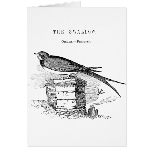 Vintage zwaluw vogel (Voorkant)