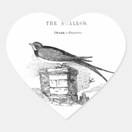 Vintage zwaluw vogel hart sticker