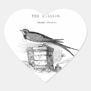 Vintage zwaluw vogel hart sticker
