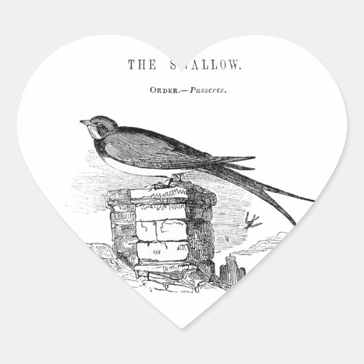 Vintage zwaluw vogel hart sticker (Voorkant)