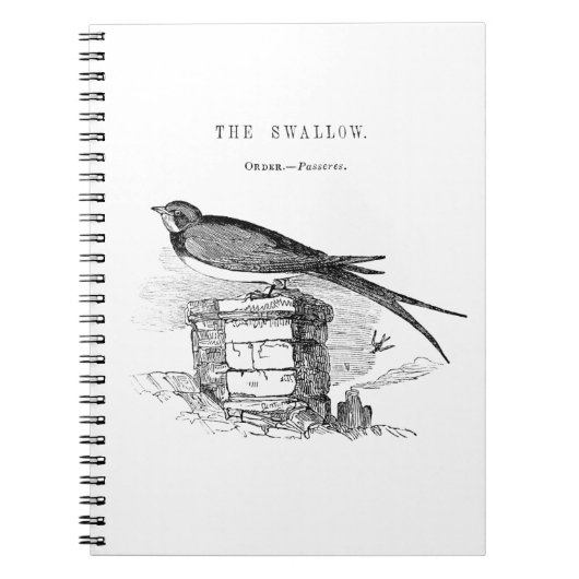 Vintage zwaluw vogel notitieboek (Voorkant)