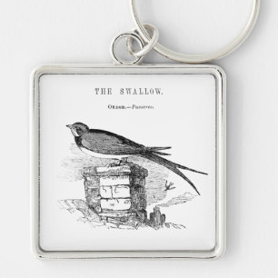 Vintage zwaluw vogel sleutelhanger