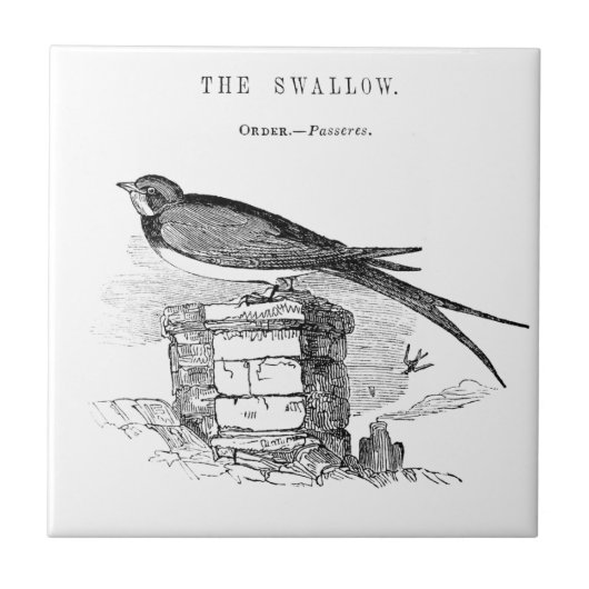 Vintage zwaluw vogel tegeltje (Voorkant)