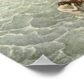 Vintage - Zwemelen in een Zee Cove, Poster (Hoek)