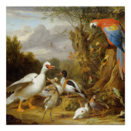 VintageA Macaw Ducks Papegaaien en andere vogels Perfect Poster