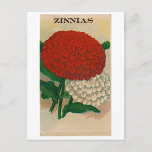 vintundige seed packet postcard briefkaart