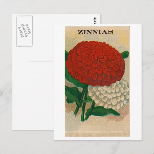 vintunete seed packet postcard briefkaart (Voorkant / Achterkant)