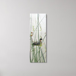 Vinyl Fotobehang - Amerikaanse Coot in Reeds Canvas Afdruk