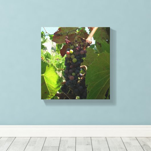 Vinyl Fotobehang - Cluster van druiven op wijnstok Canvas Afdruk (Insitu (Houten vloer))