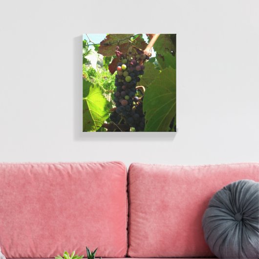 Vinyl Fotobehang - Cluster van druiven op wijnstok Canvas Afdruk (Insitu (Woonkamer))