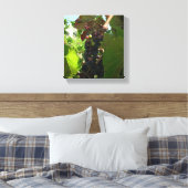 Vinyl Fotobehang - Cluster van druiven op wijnstok Canvas Afdruk (Insitu (Slaapkamer))