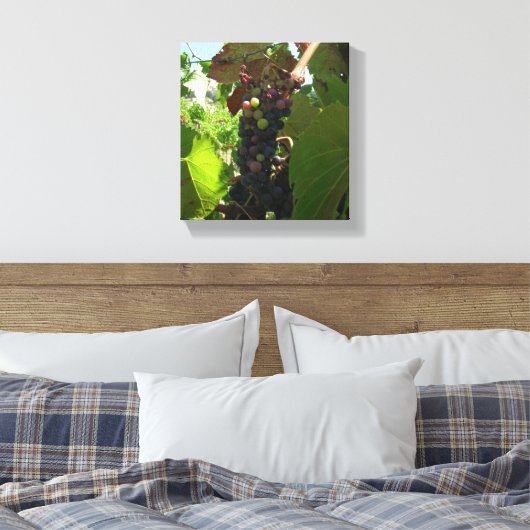Vinyl Fotobehang - Cluster van druiven op wijnstok Canvas Afdruk (Insitu (Slaapkamer))