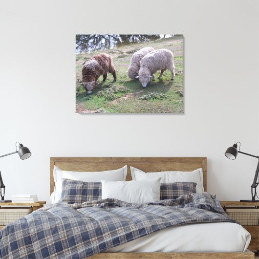 Vinyl Fotobehang - Drie schapen Canvas Afdruk (Insitu (Slaapkamer))
