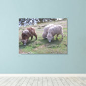 Vinyl Fotobehang - Drie schapen Canvas Afdruk (Insitu (Houten vloer))