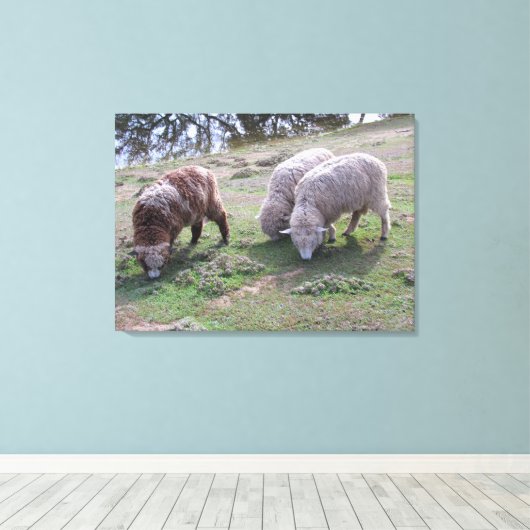Vinyl Fotobehang - Drie schapen Canvas Afdruk (Insitu (Houten vloer))