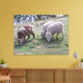Vinyl Fotobehang - Drie schapen Canvas Afdruk (Insitu (Woonkamer))