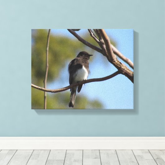 Vinyl Fotobehang - Flycatcher in boom Canvas Afdruk (Insitu (Houten vloer))