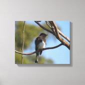 Vinyl Fotobehang - Flycatcher in boom Canvas Afdruk (Voorkant)
